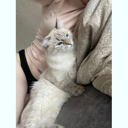 ��� ������� ����� �������� ����� � �������� �������� 